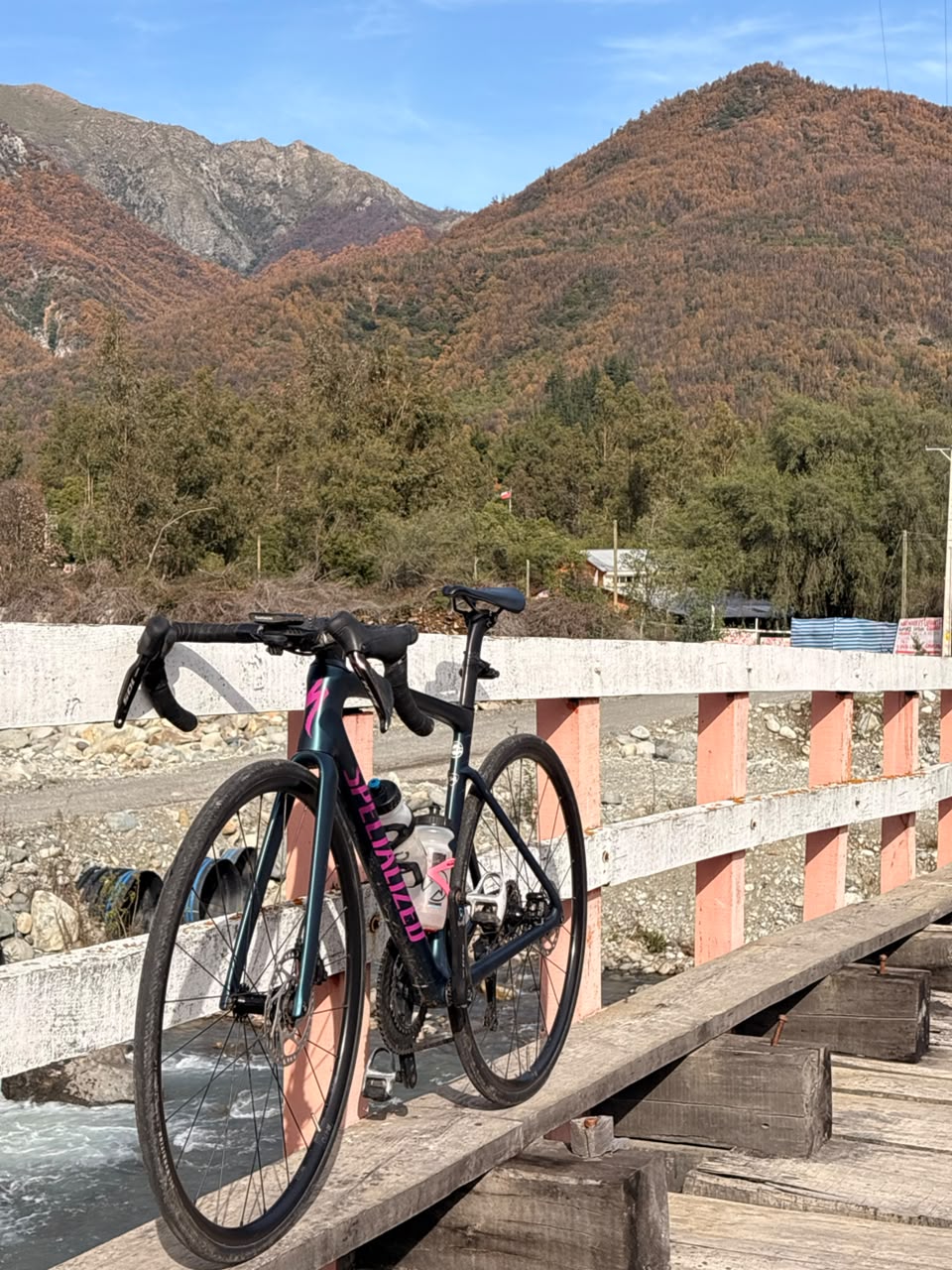 Tarmac SL7 perfil